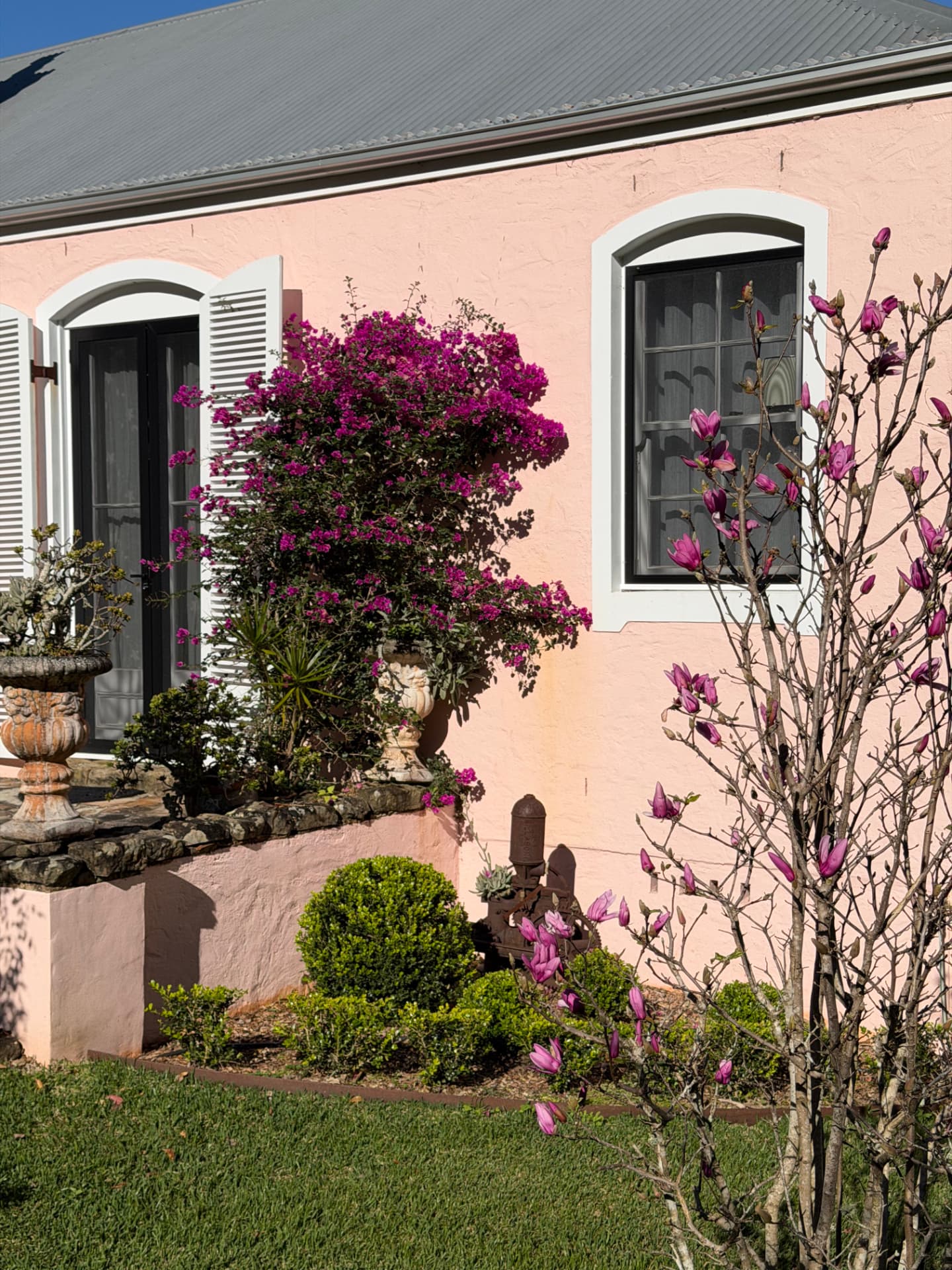 A pink European-inspired cottage in the Alstonville hinterland with bougainvillea, magnolia in flower and clipped box balls