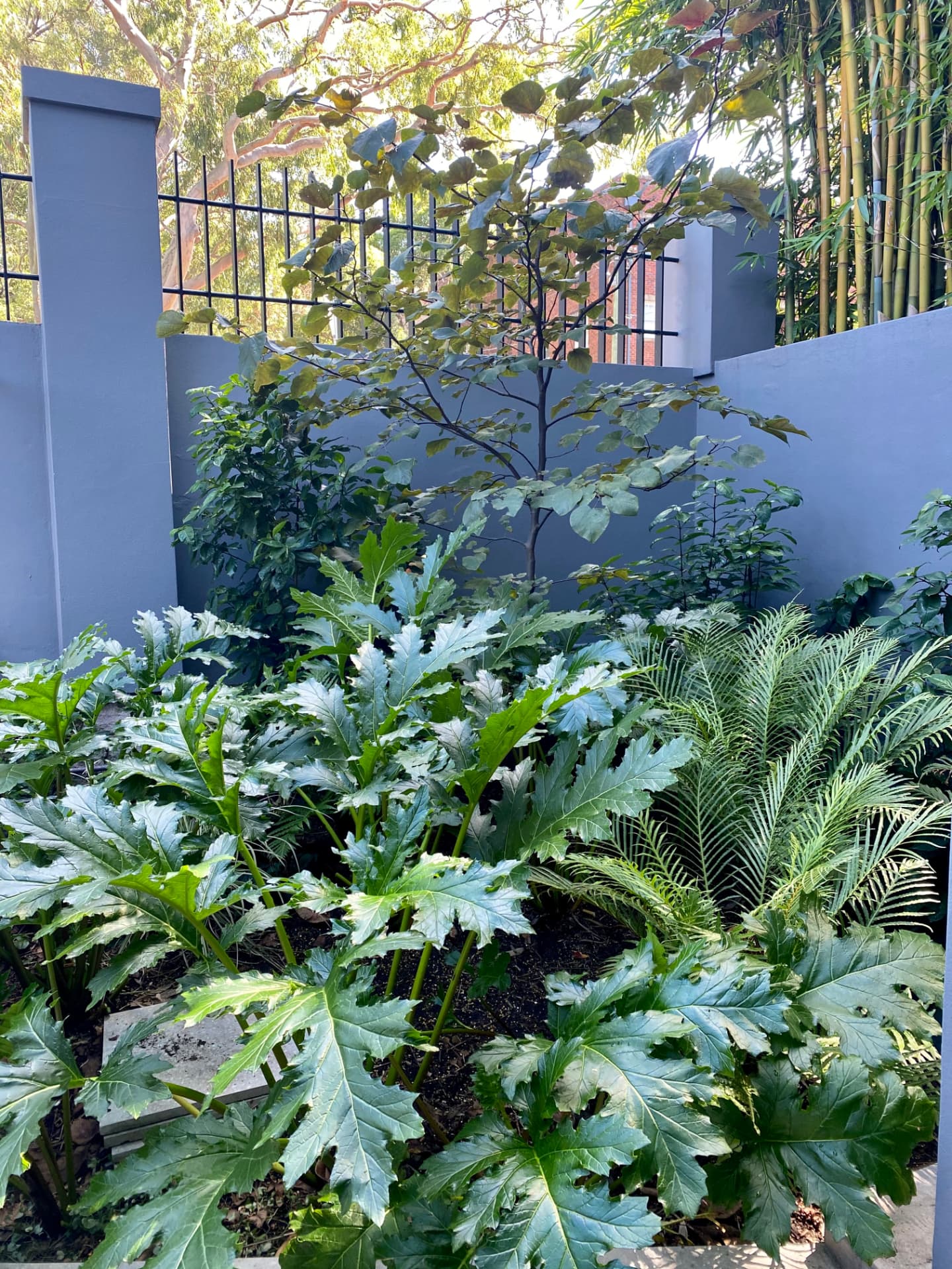 Acanthus Courtyard