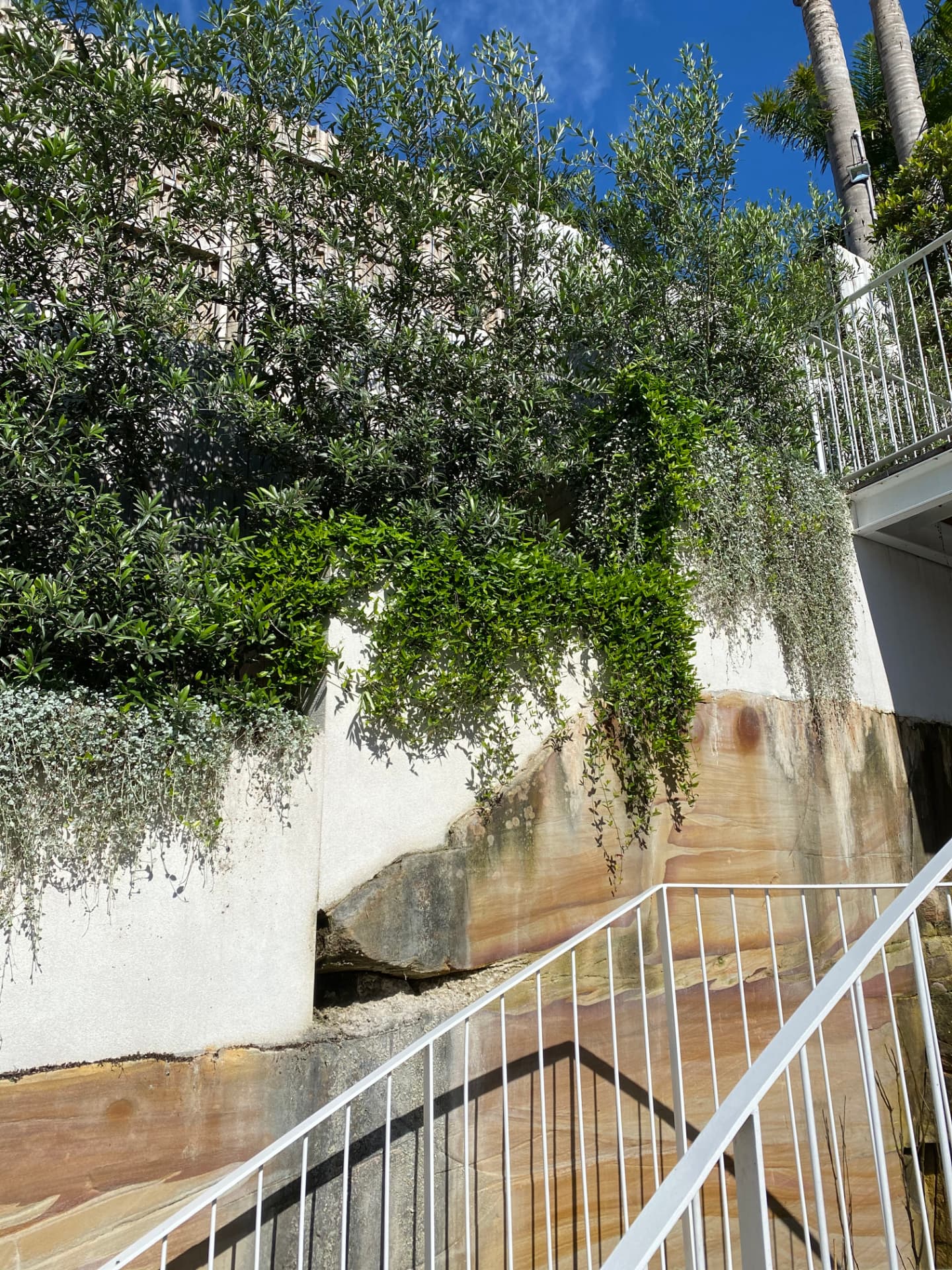 Property Maintenance