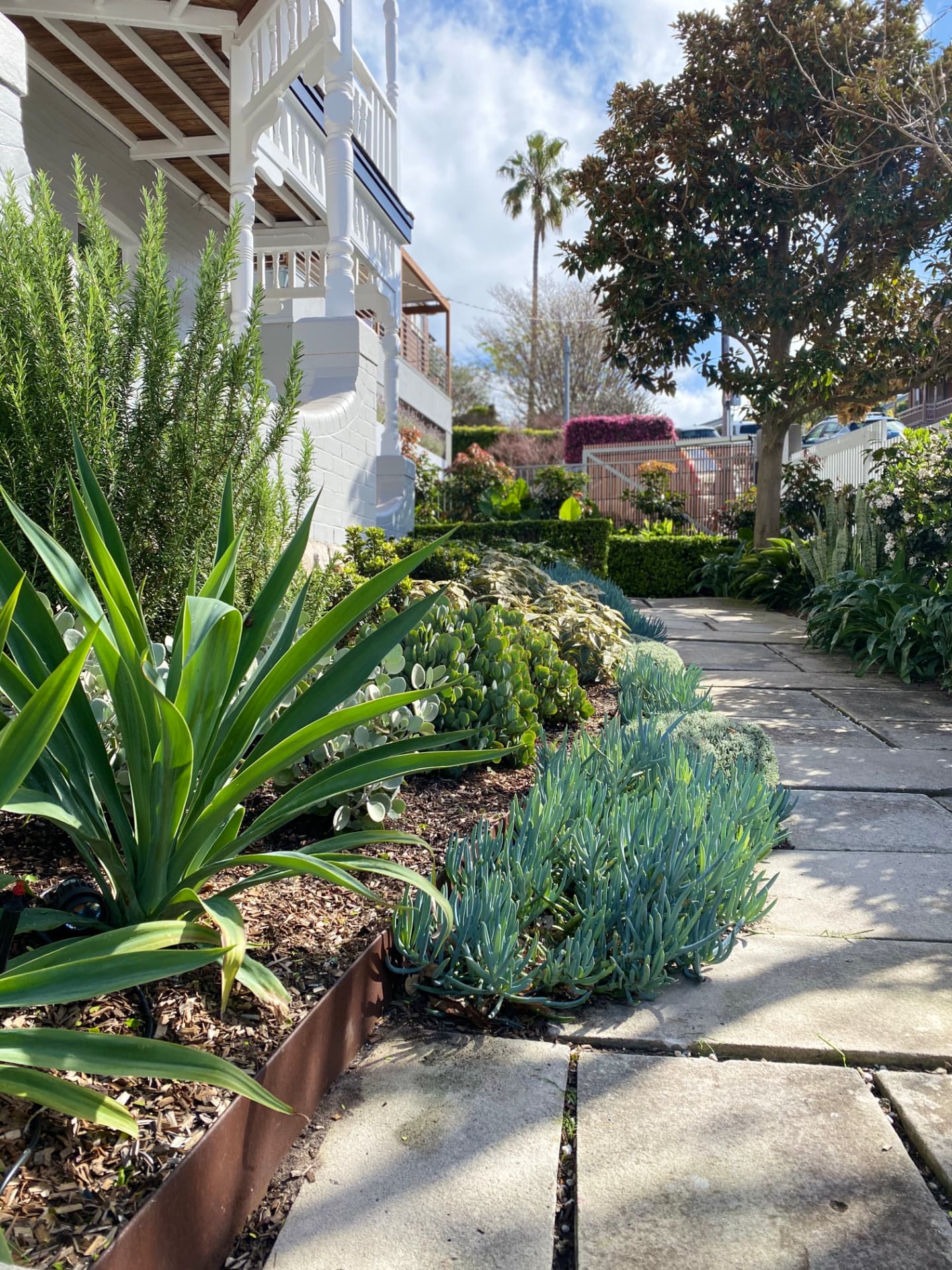 A tidy front garden path leading up to a Northern Rivers home