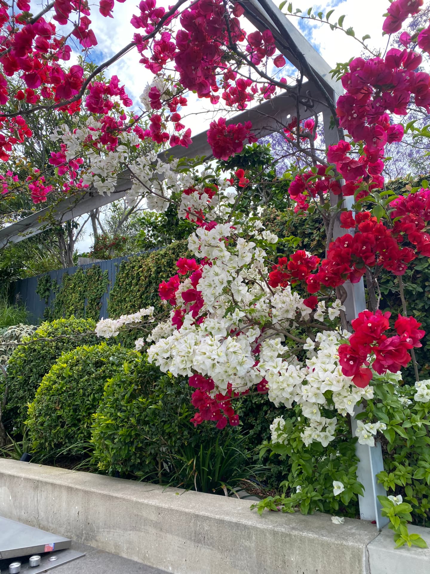 Garden Clean Ups