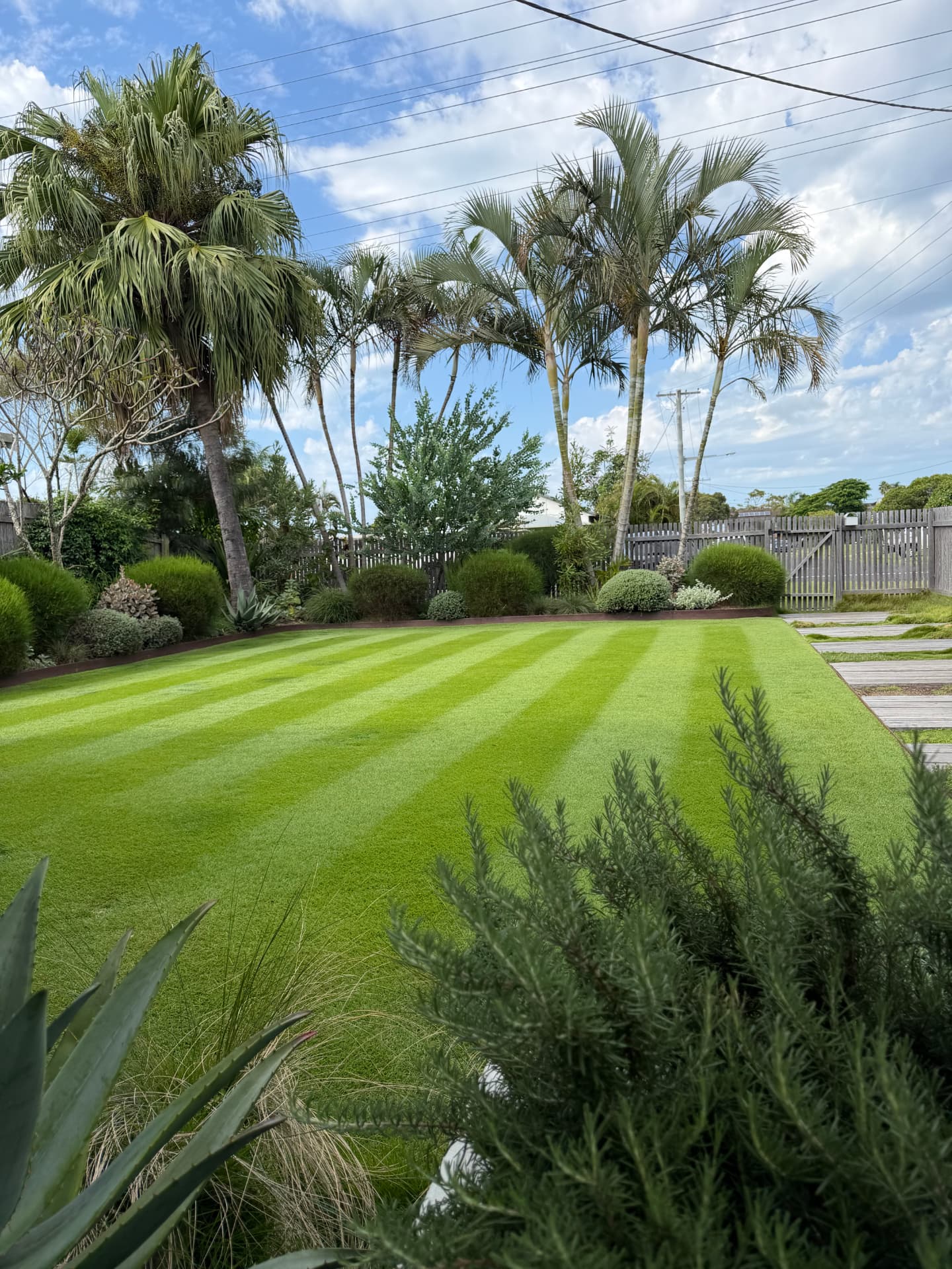 Residential Lawn Mowing