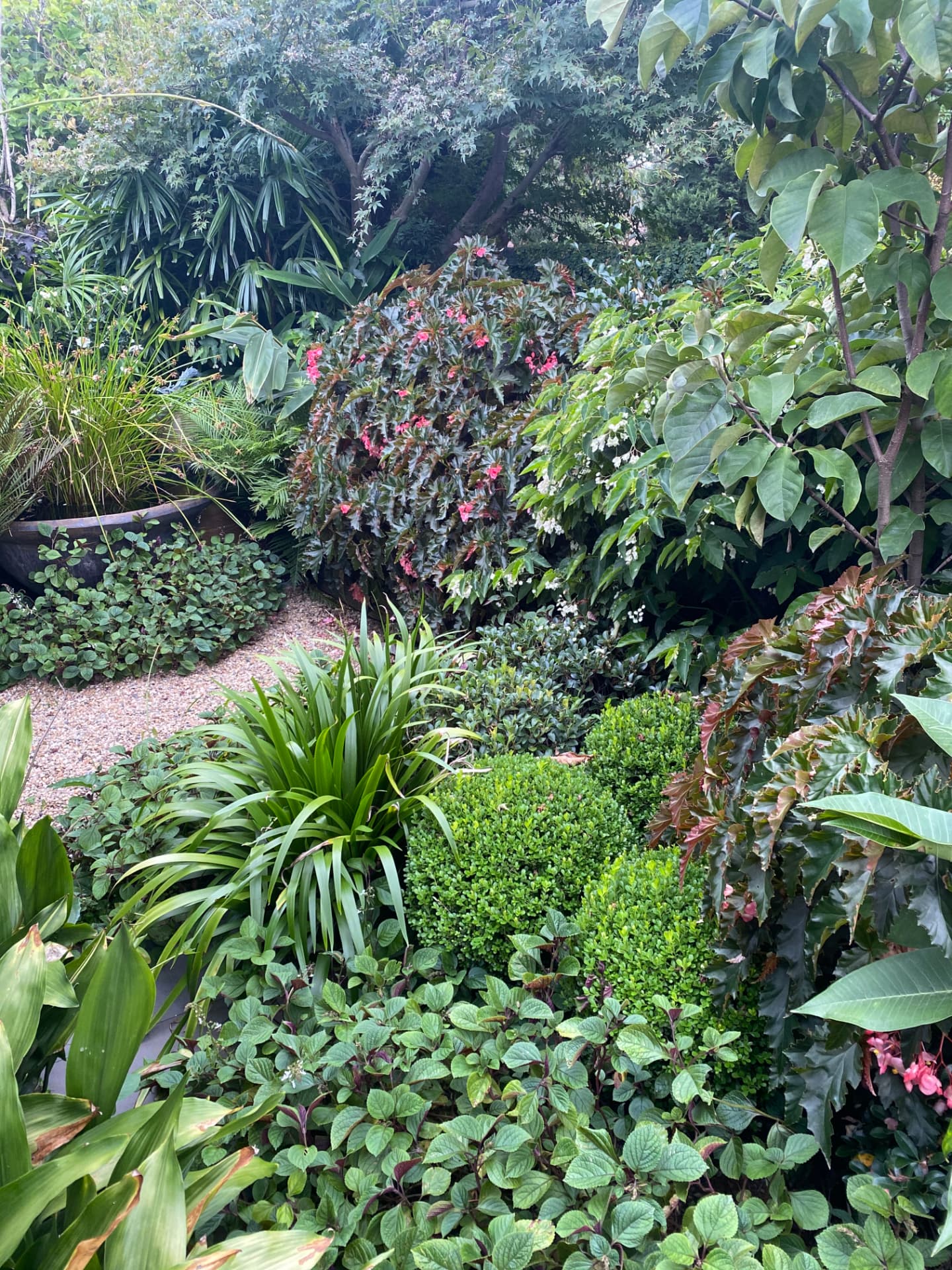 Layered Shade Garden